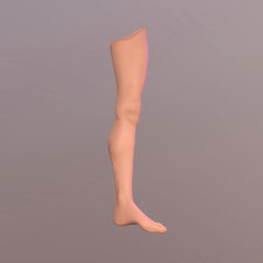 3D Leg for Procreate