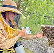 Nathalie Collecting Bees By Hand_edited.jpg