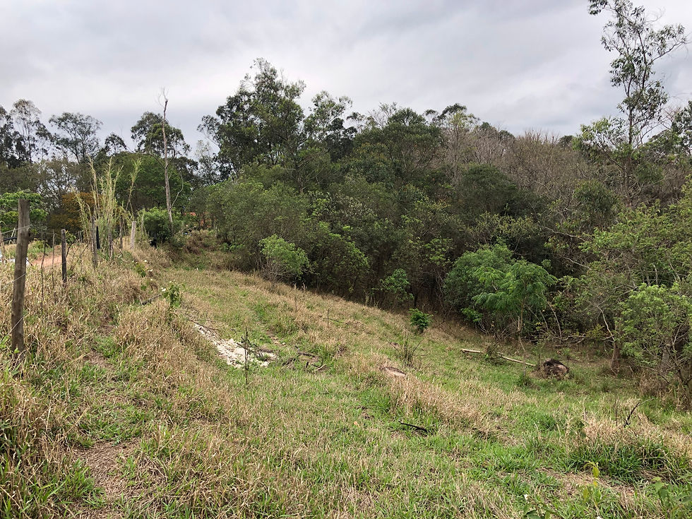 Miniatura: Lote - Bairro do Funil