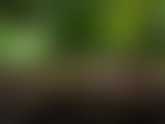 Normativas ambientales en Colombia