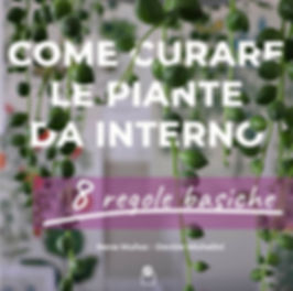 GUIDA_PIANTE.jpeg