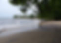 100_0310_edited.jpg