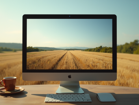Solutions de newsletters pour petites entreprises : services de newsletters PME