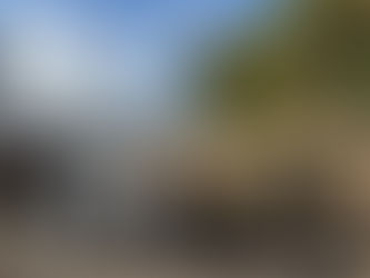 三津浜小学校のみなさんが見学に来られました