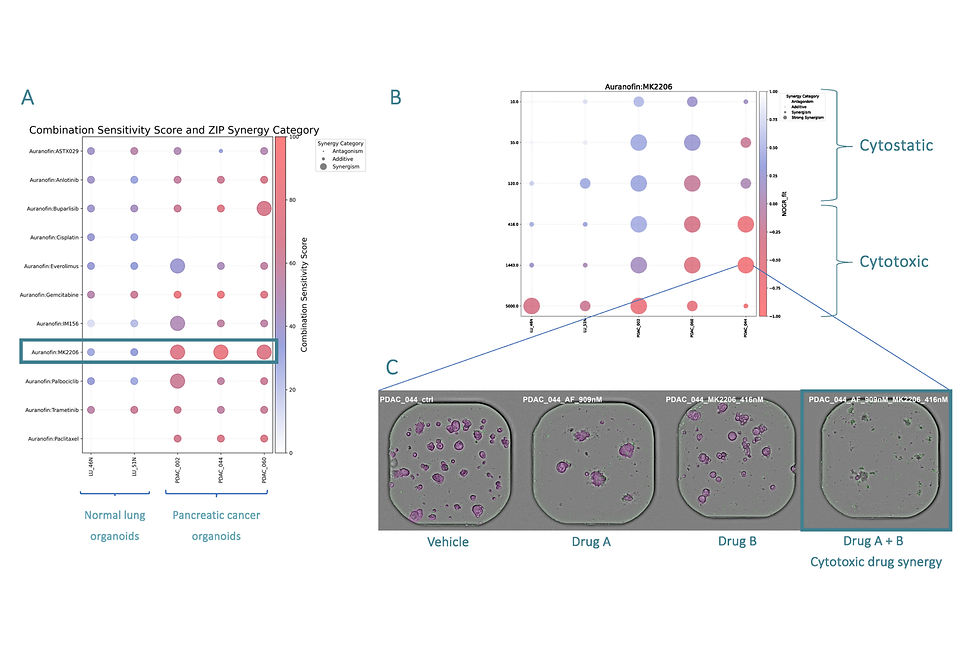 Assay_Capabilities_Synergy_Dynamics_Page_3.png