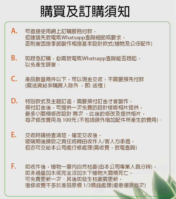 Original Forest 原始森林 玻璃盆景  手作坊 教學 員工活動 假