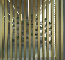 אלמנט במטבח