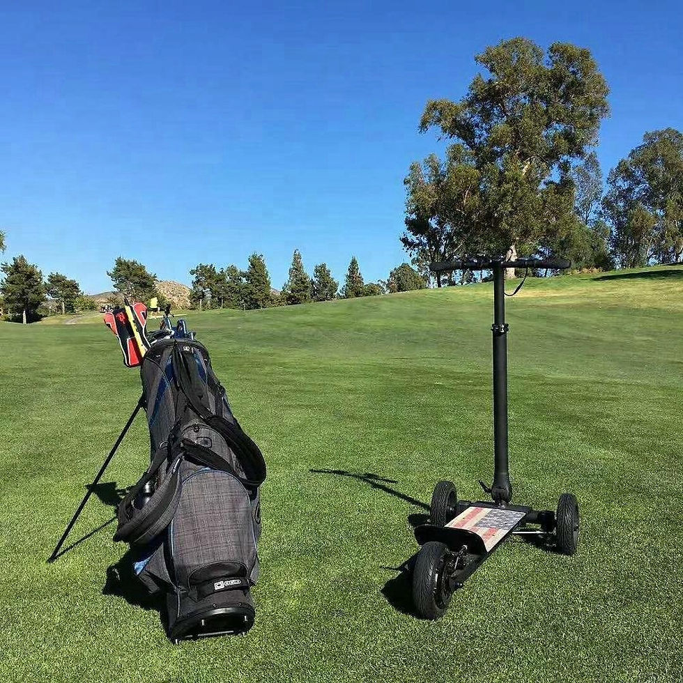 Miniatura: Sale 500W 3 Wheel Golf Cart Electric Scooter Golf Trolley With Single Seat
