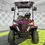 Miniature : Electric Golf Cart 4 Seats 5000W Scooter Adult Touring Classic Solar Golf Cart