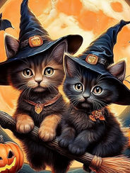 Luna & Midnight - Moonlit Whiskers