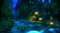 Forest Cabin