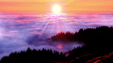 Nature Landscape Sun