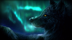 Aurora Wolf Night