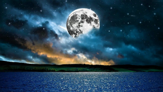 Starry Ocean Night