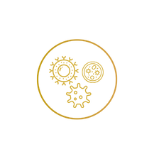 Design ohne Titel (8).png