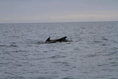 image00012.jpeg