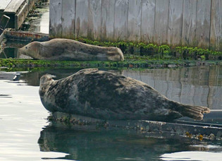 image00020.jpeg