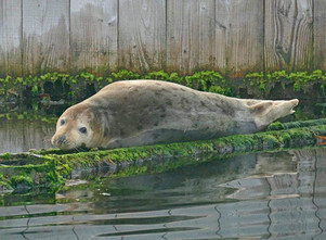 image00019.jpeg