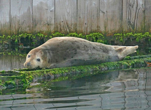 image00019.jpeg