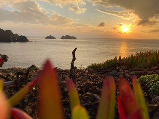 image00010.jpeg