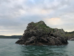 image00018.jpeg