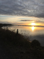 image00006.jpeg