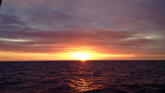 Sunset at Sea, Brixham, Dolphin Watch UK