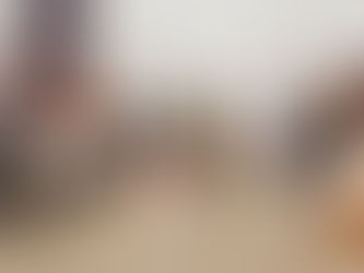 Feast all around. Happy New Year to everyone.