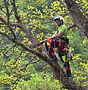 test1.jpg
