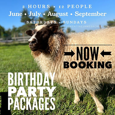 birthday party june to september.jpg