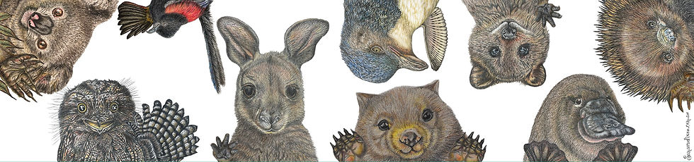Samara Dixon Animals.jpg