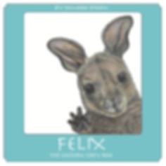 Felix the Eastern Grey Roo