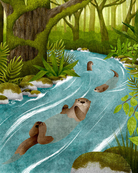otter_1.jpg