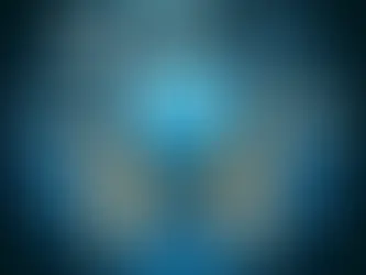 Shielding Your World: Unveiling the Comprehensive Services of Protection Agencies in Texarkana, Little Rock, and Shreveport.