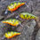 Thumbnail: P1.5 Stripe 10 pattern