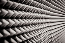 AdobeStock_249378403.jpeg