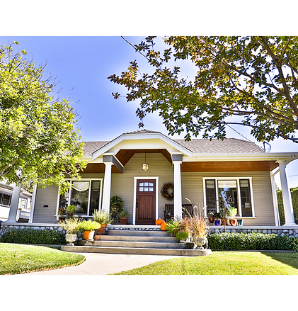 Copy of Untitled Design (1).png