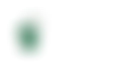 wizard with a broccoli staff