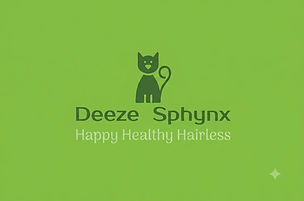 DeezeSphynx google ad logo.jpg