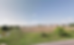 Screenshot 2021-03-17 at 07.42.13.png
