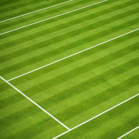 Grass Court Battles & San Diego Tennis Center Summer Highlights