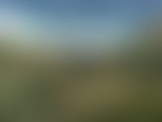 New study finds seabird response to abrupt climate change 5,000 years ago