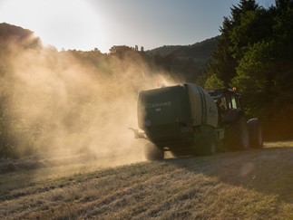 Agriculture 4.jpg
