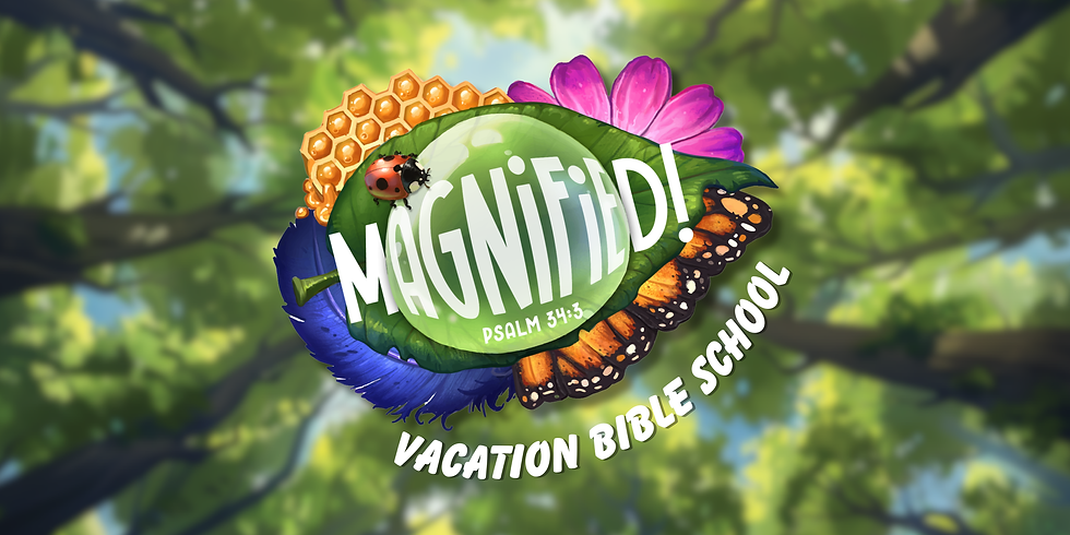 MAGNIFIED VBS