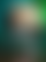 Review: The Fast and the Furies by Luna Joya