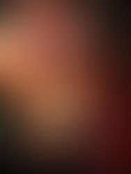 Review: A Prime's Passion by Shiloh Walker