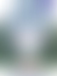 Review: Ransom by Julie Garwood