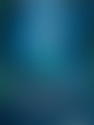 Review: A Selkie's Secret by Lauren Connolly