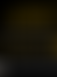 Blog Tour: Junkyard Bargain by Faith Hunter