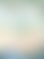 Blog Tour and Excerpt: Holidays in Virgin River by Robyn Carr